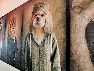 Menschliche Tiere auf Wand gedruckt